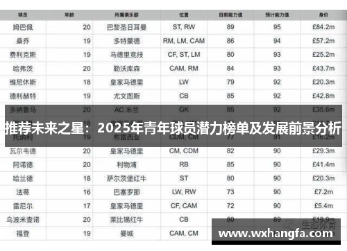 推荐未来之星：2025年青年球员潜力榜单及发展前景分析