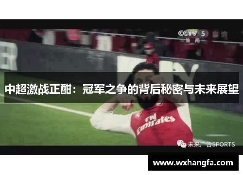 中超激战正酣：冠军之争的背后秘密与未来展望