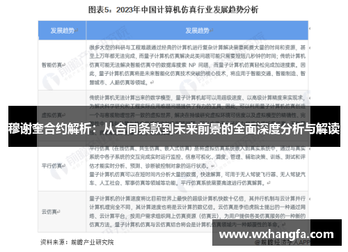 穆谢奎合约解析：从合同条款到未来前景的全面深度分析与解读
