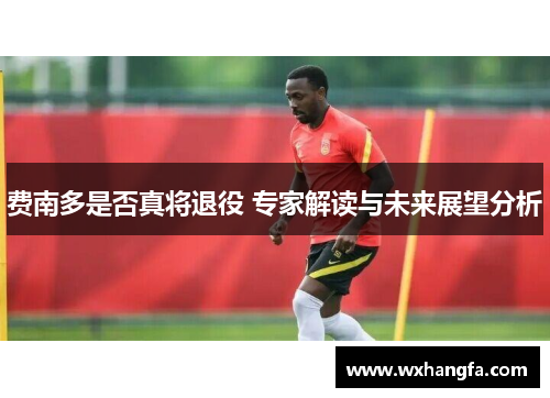 费南多是否真将退役 专家解读与未来展望分析